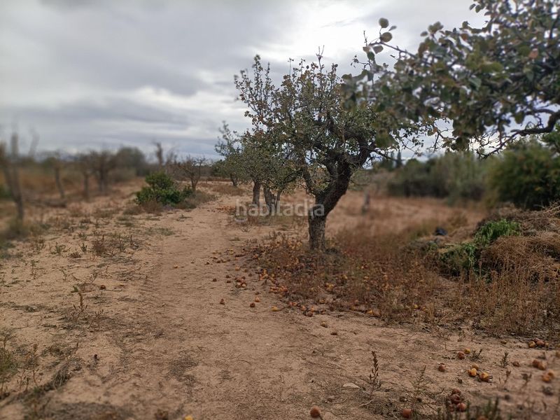 Foto b6353c36-e170-43e4-b2d1-6a498ccc453d. Casa amb aparcament a Belchite
