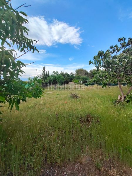 Foto a7c56310-ecd3-4aeb-b6a5-4fd54b6003d5. Xalet amb xemeneia piscina a San Pablo Albacete