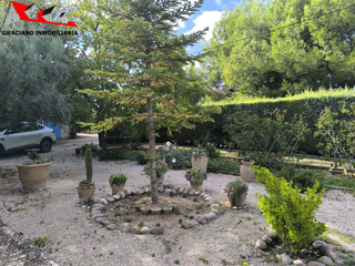 Chalet in San Pedro. Se vende parcela en carretera las peñas