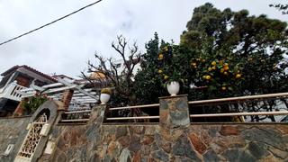 Rent Country house  Calle la solana. Casa con arboles frutales.