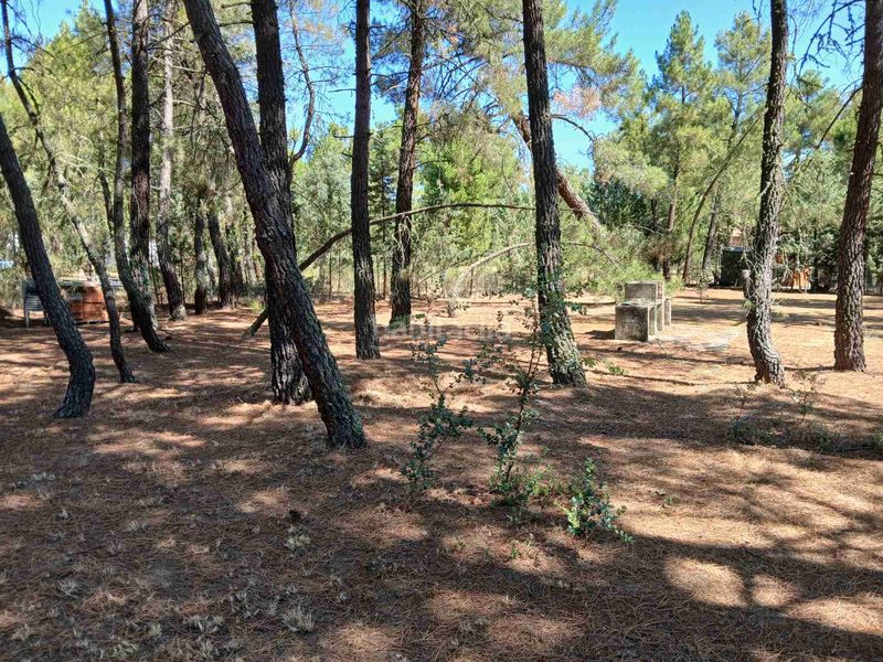 Foto d6b0da44-cf87-4f43-b06b-371a6bdd8153. Xalet amb xemeneia calefacció aparcament piscina a Marugán
