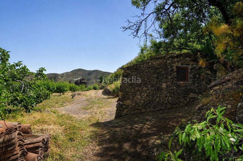 Foto 4af374b6-7a64-46ce-a233-1973e7038193. Casale con parcheggio in Tejeda