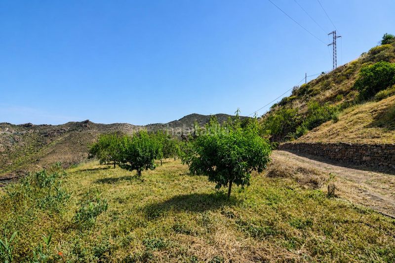 Foto f74e466b-e84d-4539-b3c8-ea9a9780b622. Casale con parcheggio in Tejeda