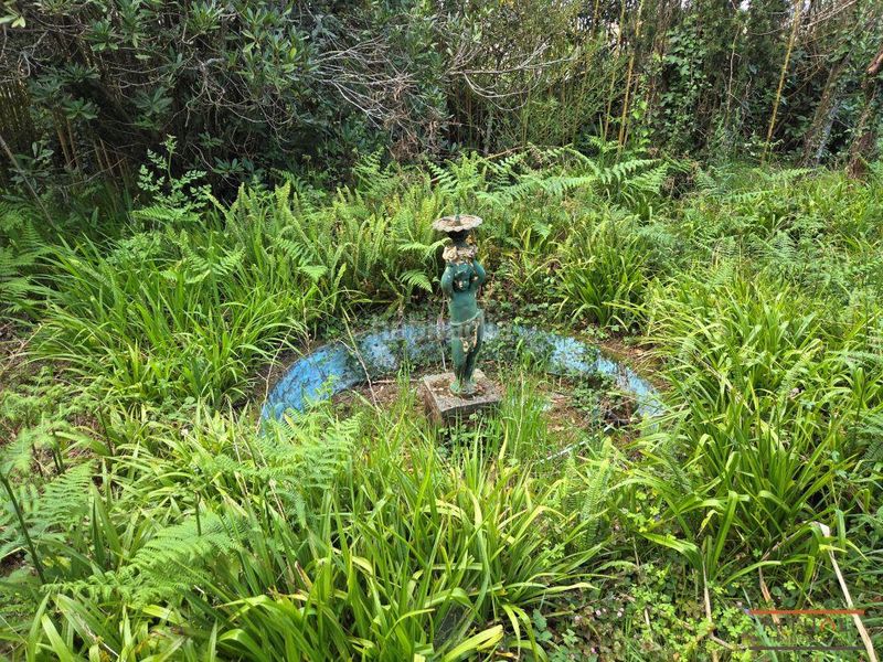 Foto 4987b24b-2484-44ca-9cce-dfe6d95ff62d. Casa amb xemeneia calefacció aparcament a Cornazo Vilagarcía de Arousa