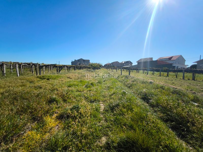 Foto 416b5f21-1e83-4b63-9cd9-a542c8154d13. Terreny residencial a Vilanova de Arousa