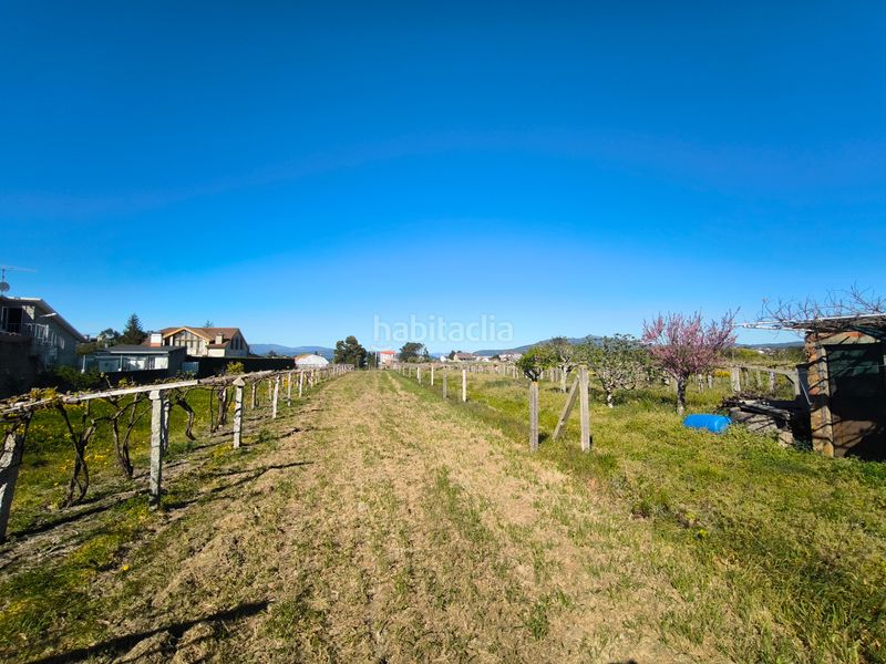 Foto 9b60f019-4814-4bf2-8976-b3a0fda81258. Terreny residencial a Vilanova de Arousa