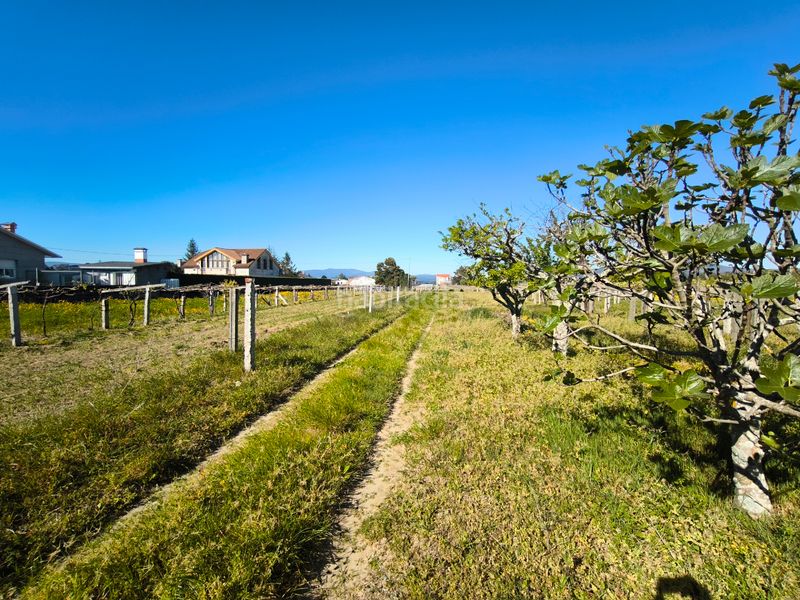 Foto ba16f3d1-a4e2-4838-8e16-3e5aa316e8a8. Terreny residencial a Vilanova de Arousa