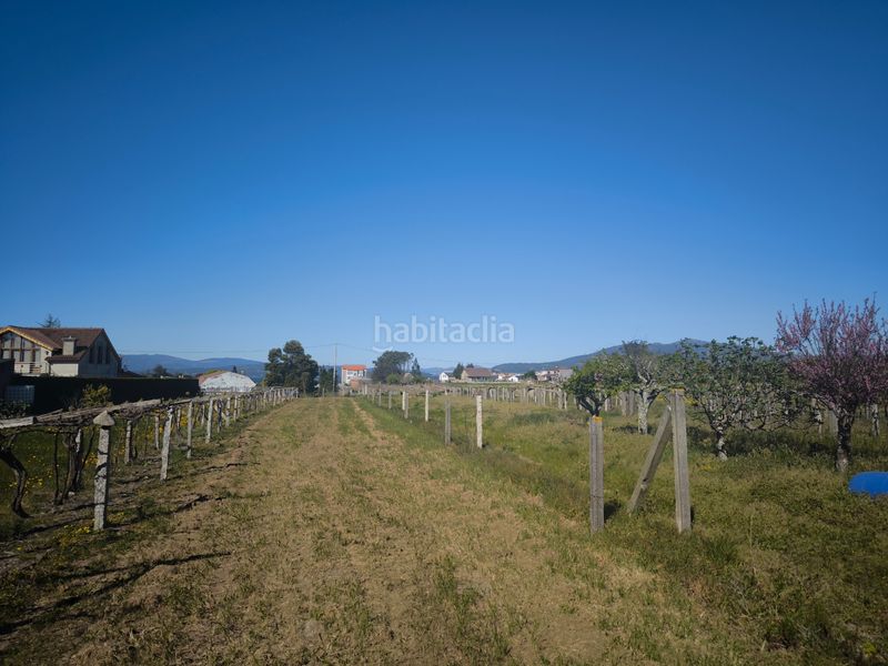 Foto c0efbade-ef9f-4206-9f2b-3703035d2419. Terreny residencial a Vilanova de Arousa