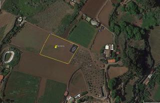 Finca rstica en Camino llano del pino 5. Cuartos con terreno