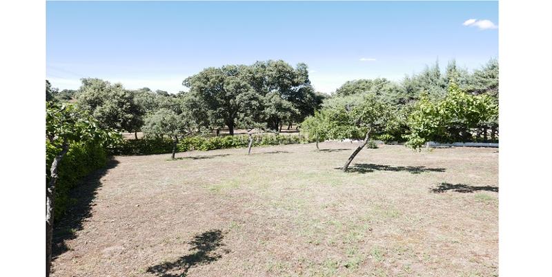 Foto 0f24ed5e-2c8a-4cd9-9f0e-eb47da2522b8. Fondo rustico in Marugán