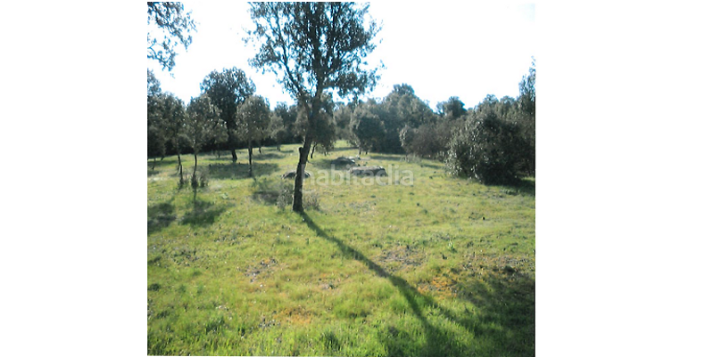 Foto 20d8bbb3-f24b-4af3-97ca-a503e11f65c4. Fondo rustico in Marugán