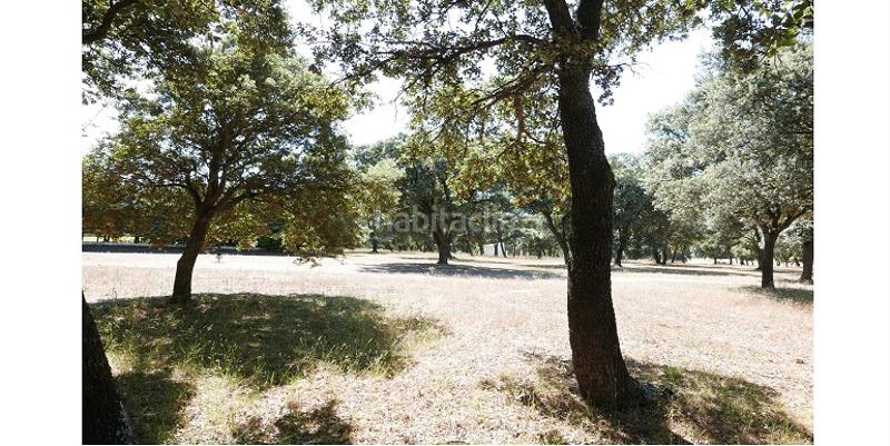 Foto 71ff1b78-b52d-44f5-8f68-651405a0bf16. Fondo rustico in Marugán