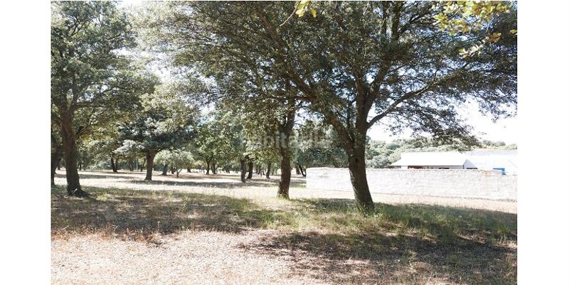 Foto a0931dee-299b-45ca-ae9a-2237d2b88027. Fondo rustico in Marugán