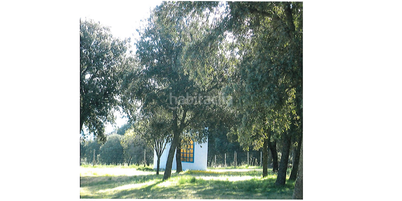 Foto ad83e496-c49a-4a80-8055-93bdd7606654. Fondo rustico in Marugán