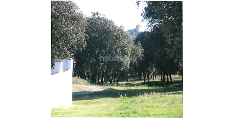 Foto ada71ae7-b9b2-412b-85f3-7ce35542a8a8. Fondo rustico in Marugán