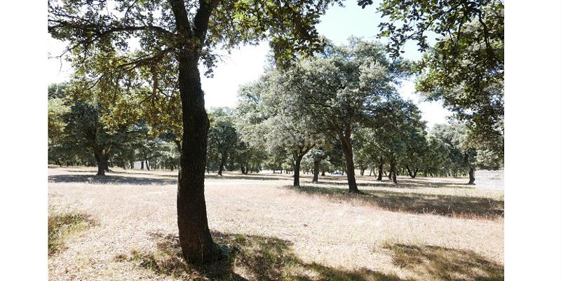 Foto f0ed28ad-2caa-4fe6-952e-eb3e638ab69c. Fondo rustico in Marugán