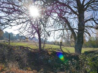 Finca rstica en Santo Tom del Puerto. Venta de parcelas urbanas y rusticas en sigueruelo