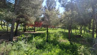 Xalet a Cobisa. Casa o chalet independiente en venta en cobisa (toledo)