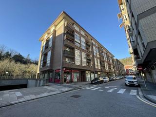 Piso en Bergara. Piso céntrico con ascensor. dispone de trastero y balcón. negoci
