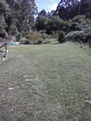 Finca rústica a Oleiros Pueblo. Dos fincas rústicas en oleiros, cerca de mera.