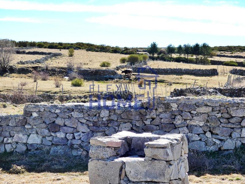Foto e6a711bc-a2ab-487f-804d-3f0bf3667a64. Landgut in San Martín de la Vega del Alberche