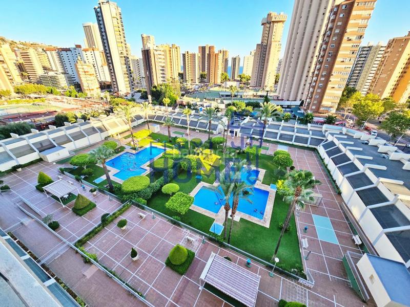 Foto 1cbb8240-0006-4739-b3d3-5802238579e0. Alquiler piso en Levante Alto Benidorm