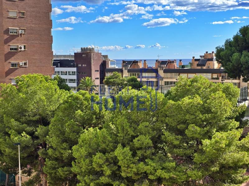 Foto abe5fed4-ef4c-4d2b-97cd-9d722921477d. Flat with parking pool in Playa Poniente Benidorm