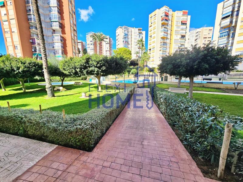 Foto 584d6eaa-c6ba-40bc-917d-d943a7a75db9. Piso en Playa Poniente Benidorm