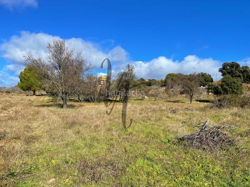 Foto 3be026f3-6b42-47ab-ae00-442393fd77f5. Fondo rustico in paraje castellana in Cadalso de los Vidrios