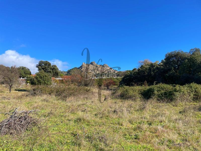 Foto 45e852df-3293-44d3-a1dc-34e7f3612da1. Fondo rustico in paraje castellana in Cadalso de los Vidrios