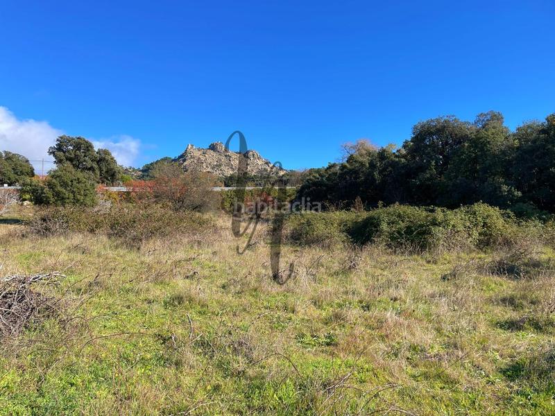 Foto e69ac492-109e-4054-9e05-073a6f489178. Fondo rustico in paraje castellana in Cadalso de los Vidrios