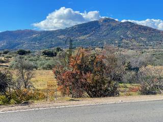 Rural plot in Paraje castellana
