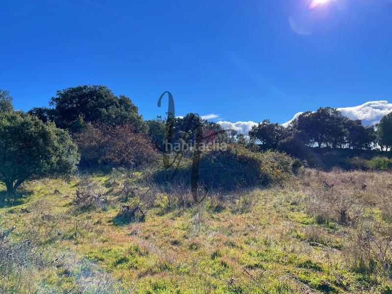 Foto d5a36275-07dc-4889-a377-f74fe3112aa6. Finca rústica en paraje castellana en Cadalso de los Vidrios