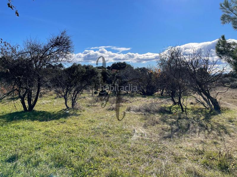 Foto f46369cb-6042-4e6f-9cde-1758866cf95e. Finca rústica en paraje castellana en Cadalso de los Vidrios
