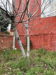 Terreny residencial a La Flecha - Monasterio del Prado. Parc.urbana en venta en la flecha  monasterio del prado.