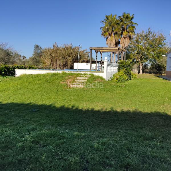 Foto 1531f754-2f55-4bcd-b131-512c25e3f5b8. Xalet amb xemeneia aparcament piscina a Pedanías Norte Utrera