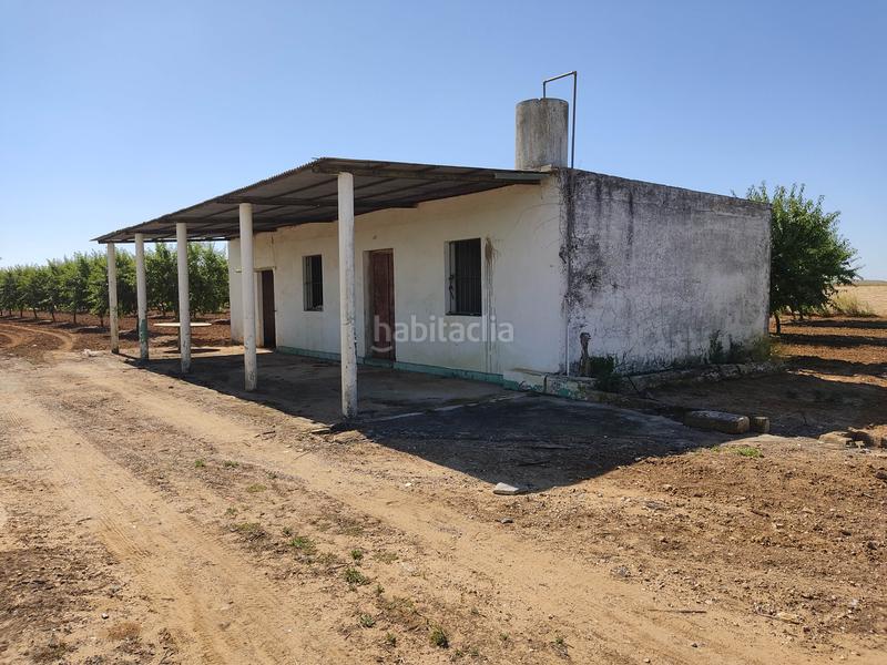 Foto 0355776c-9a22-4070-b35a-d5a6a0dde764. Finca rústica vendo finca rústica de almendros, en Utrera