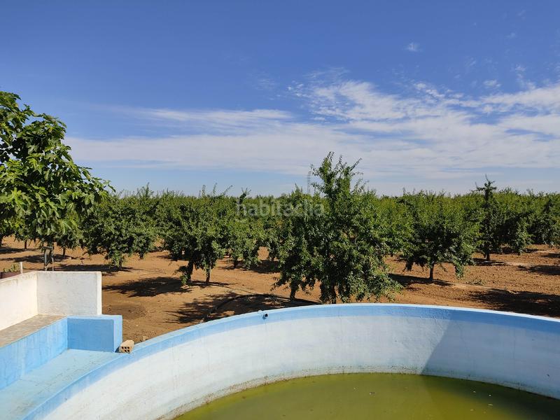 Foto b6eb8406-e963-4a27-8b3e-419723a36abd. Finca rústica vendo finca rústica de almendros, en Utrera