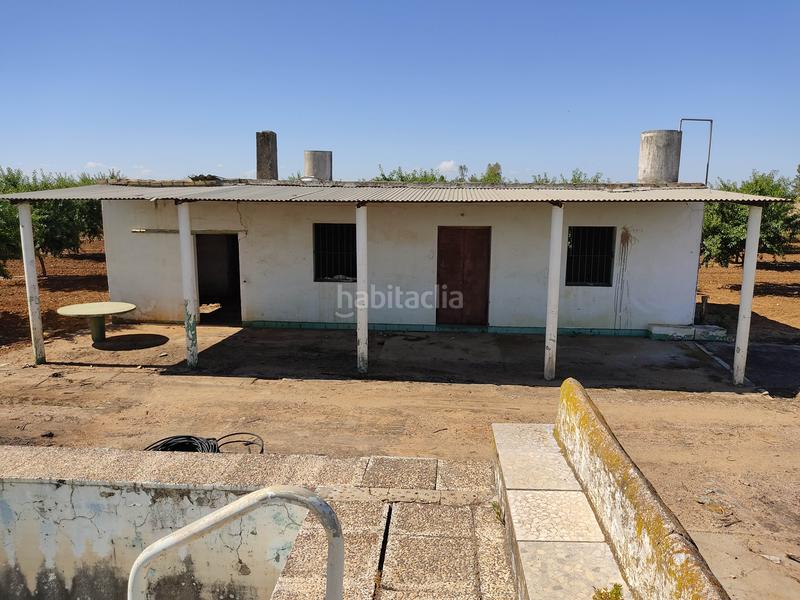 Foto b7e4ef9e-8d81-4195-913f-9dda0721a6b6. Finca rústica vendo finca rústica de almendros, en Utrera