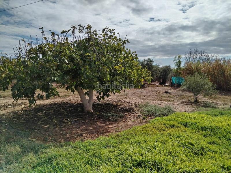 Foto c5f8817d-cc3b-4aa0-9a89-f977fb69a219. Chalet vendo chalet con piscina próximo a en Pedanías Sur Utrera