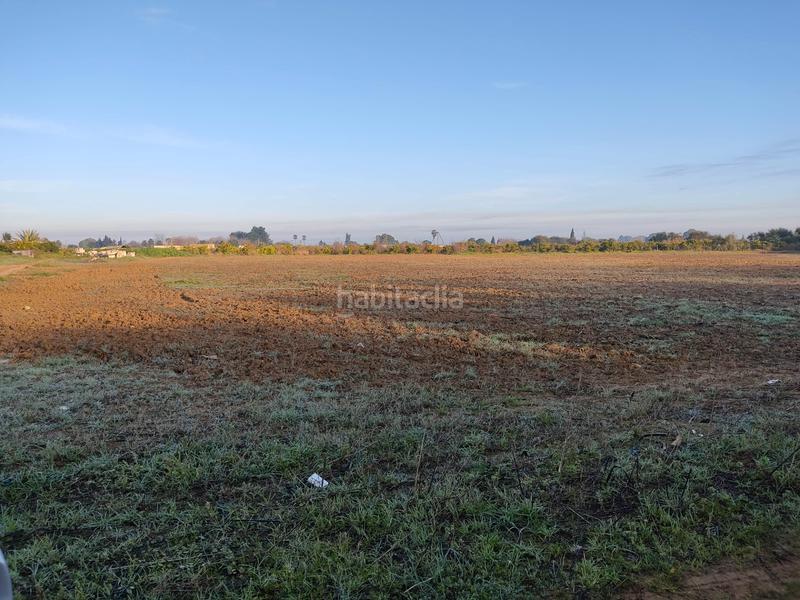 Foto 07cc894d-1a59-4340-92aa-092a36d5ad67. Finca rústica vendo finca rústica próxima a (sevilla) en Utrera