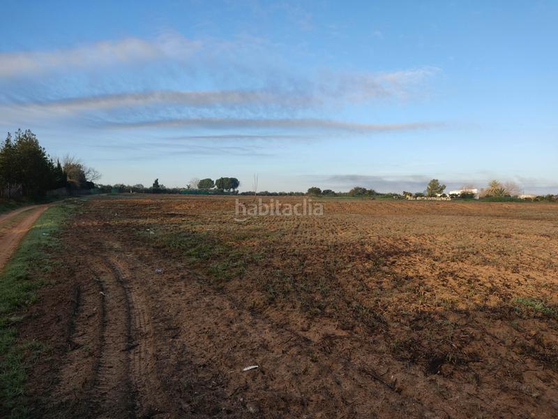 Foto 1c8c5dfa-1523-45fc-94cd-fd2e17e5543b. Finca rústica vendo finca rústica próxima a (sevilla) en Utrera