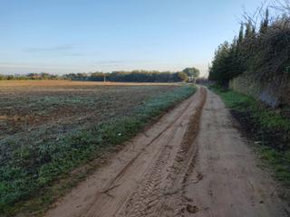 Propriété à Pedanías Norte. Vendo finca rústica próxima a utrera (sevilla)