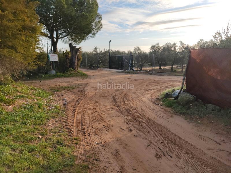 Foto 42051c98-9c8a-451b-b90c-32535834e03d. Finca rústica vendo finca rústica próxima a (sevilla) en Utrera