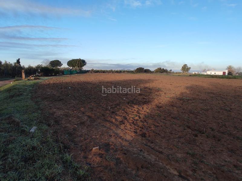 Foto 4d4b3c30-1910-43a4-9e56-a683525196ce. Finca rústica vendo finca rústica próxima a (sevilla) en Utrera