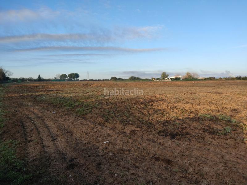 Foto 583734e3-30fb-496f-b6e6-69aecb1bb168. Finca rústica vendo finca rústica próxima a (sevilla) en Utrera