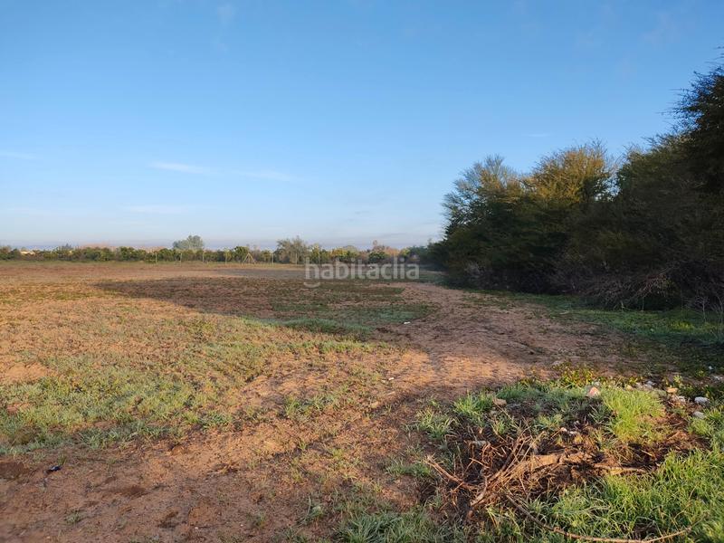 Foto 5e2b40f8-5c18-4521-8943-f0862d95a18c. Finca rústica vendo finca rústica próxima a (sevilla) en Utrera