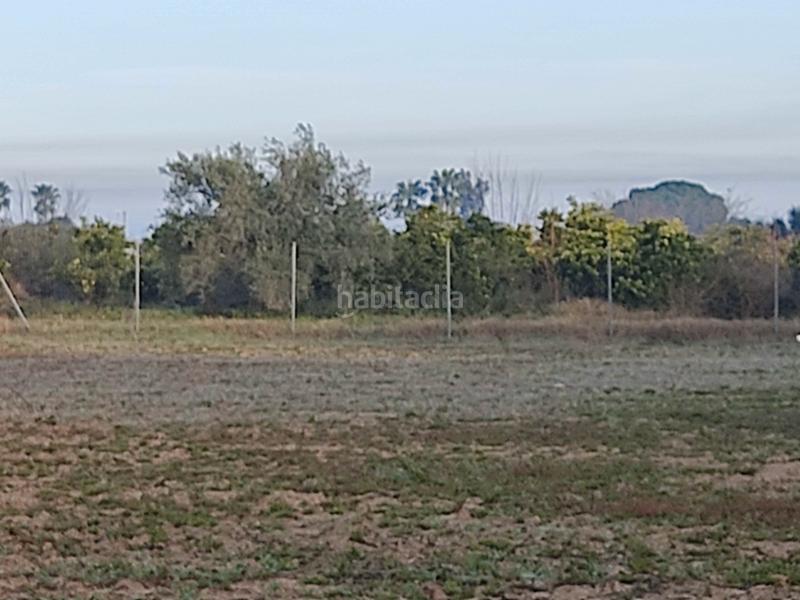 Foto 662c2851-f37c-4603-b7f9-2aba866cd7fb. Finca rústica vendo finca rústica próxima a (sevilla) en Utrera