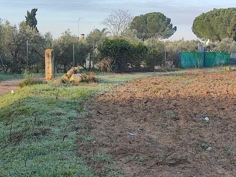 Foto 6943554f-c747-4b82-a409-76b4a593e07f. Finca rústica vendo finca rústica próxima a (sevilla) en Utrera