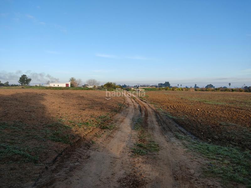 Foto c1f74478-7884-4040-8768-180d796aad4d. Finca rústica vendo finca rústica próxima a (sevilla) en Utrera